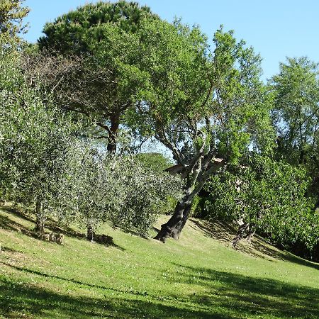 Santa Maria Della Pace Bed and Breakfast Montespertoli Exteriör bild