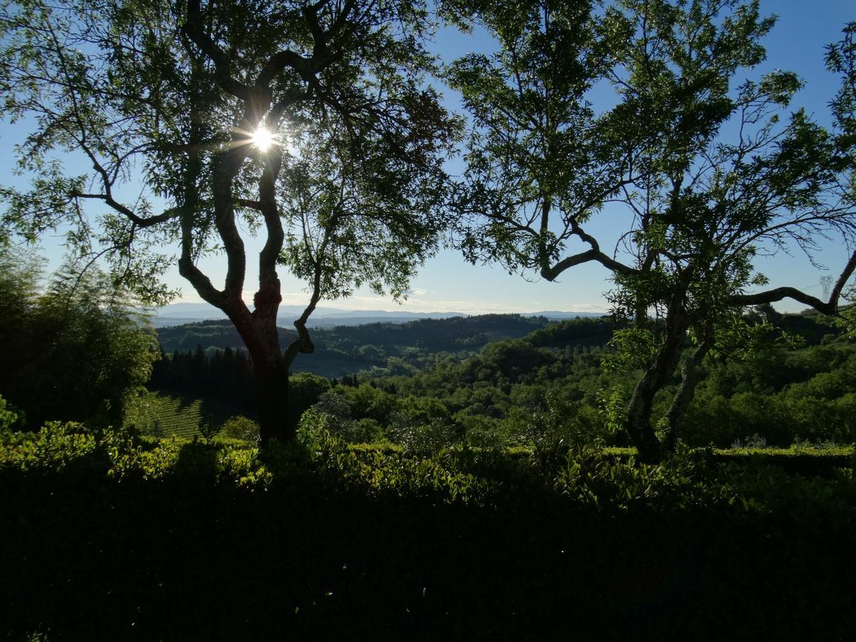 Santa Maria Della Pace Bed and Breakfast Montespertoli Exteriör bild